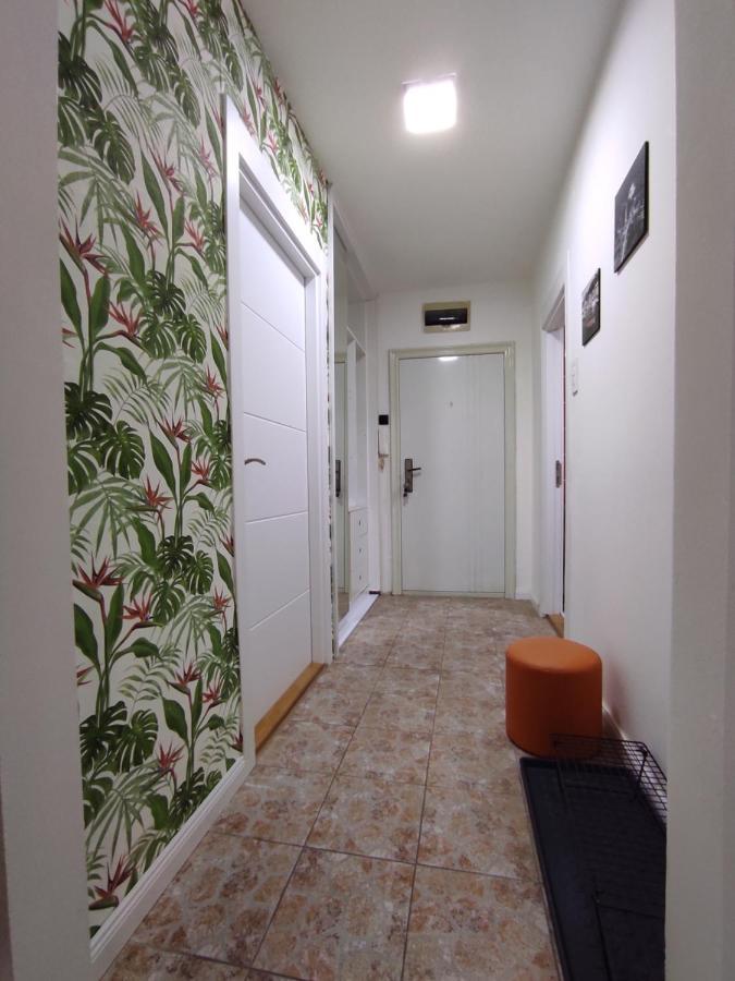 Grey Apartment Belgrad Exteriör bild